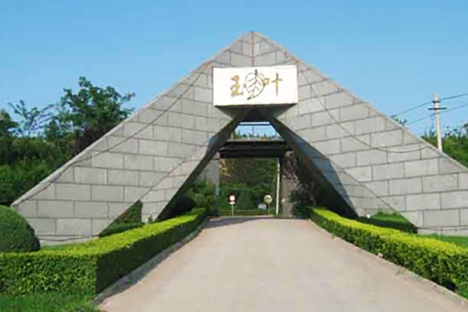 玉叶陵园
