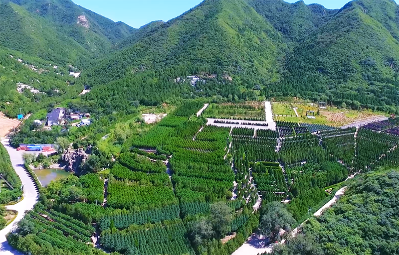 北京十三陵景仰园怎么样？