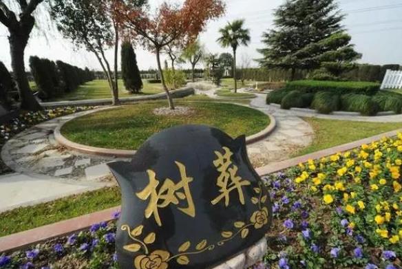 树葬是终身不交钱吗