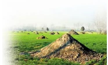 迁坟的3大禁忌要知道,迁坟需要注意什么(图1) 迁坟的3大禁忌要知道,迁坟需要注意什么