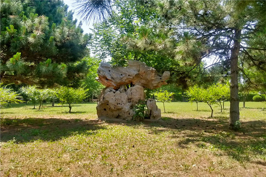 万桐园公墓