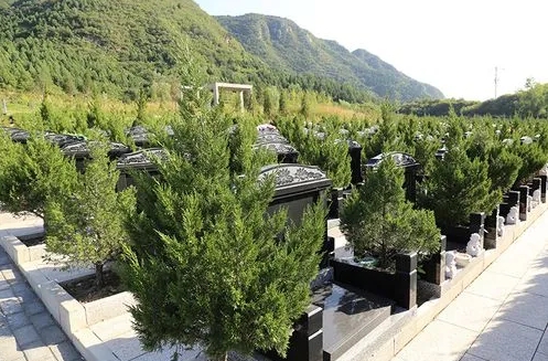 景仰园陵园的墓地价格是多少钱