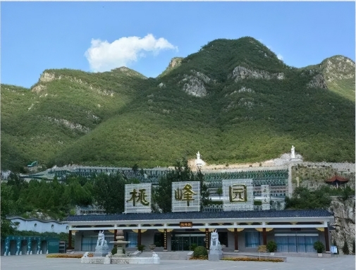 桃峰园的环境有哪些特点？
