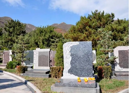天寿陵园班车路线及班车电话
