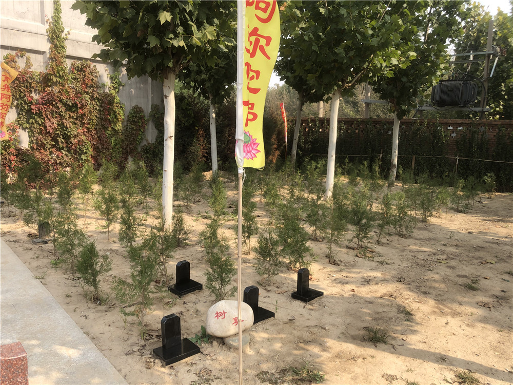 仁堂苑树葬