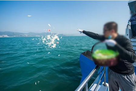 骨灰海撒违法吗？如何办理手续费用多少