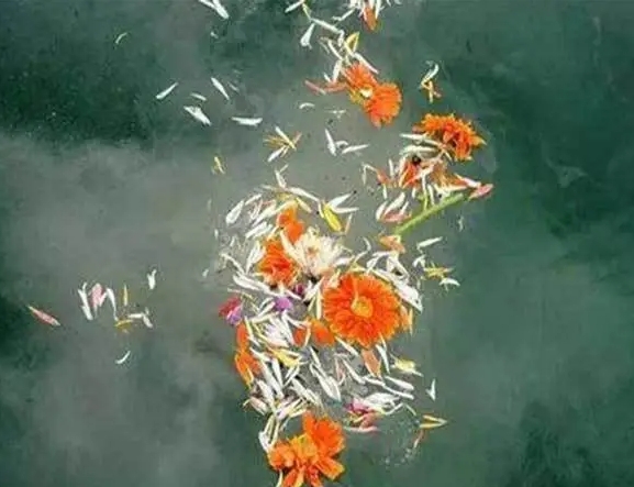 北京骨灰海葬需要花钱吗？