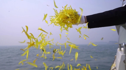 北京免费骨灰撒海是怎样的流程