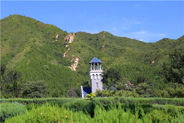 北京买公墓的流程？去哪里办理？