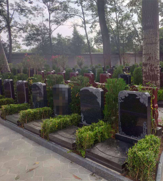 选墓地有什么讲究怎么样选合适？