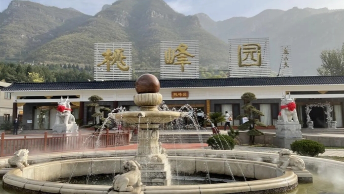 桃峰陵园提供哪些服务？